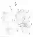 Fig. 03 - Patient transfer device