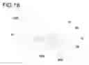 Fig. 19 - System for sealing a container for storing and delivering a product