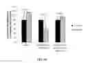 Fig. 14 - ACTIVES FOR STIMULATING DIFFERENTIATION OF KERATINOCYTES TO LIGHTEN HYPERPIGMENTED SKIN
