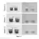 Fig. 04 - Non-Synthetic Emulsion-Based Lipid Formulations and Methods of Use