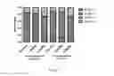 Fig. 07 - Extended release of neuregulin for treating heart failure