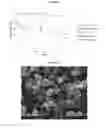 Fig. 06 - Dry powder vancomycin compositions and associated methods