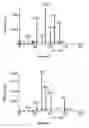 Fig. 07 - METHOD OF INHIBITING XANTHINE OXIDASE ACTIVITY IN A CELL