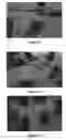 Fig. 12 - METHOD OF INHIBITING XANTHINE OXIDASE ACTIVITY IN A CELL