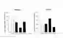 Fig. 02 - Controlled release delivery system for nasal application of neurotransmitters