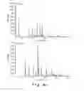 Fig. 07 - Composition comprising a complex of (+)-catechin and amino acid for the treatment and prevention of cancer