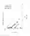 Fig. 05 - CONTROLLED RELEASE ORAL FORMULATIONS OF ION CHANNEL MODULATING COMPOUNDS AND RELATED METHODS FOR PREVENTING ARRHYTHMIA