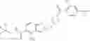 Fig. 182 - Pharmaceutical composition and the use thereof, and application regime of said pharmaceutical composition for on-demand contraception