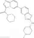 Fig. 1028 - Combination of Kinase Inhibitors and Uses Thereof