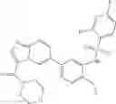 Fig. 1037 - Combination of Kinase Inhibitors and Uses Thereof