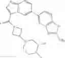 Fig. 1132 - Combination of Kinase Inhibitors and Uses Thereof