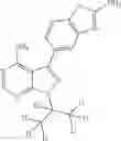 Fig. 348 - Combination of Kinase Inhibitors and Uses Thereof