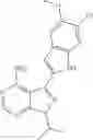 Fig. 386 - Combination of Kinase Inhibitors and Uses Thereof