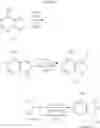 Fig. 61 - Combination of Kinase Inhibitors and Uses Thereof