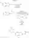 Fig. 78 - Combination of Kinase Inhibitors and Uses Thereof