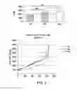 Fig. 06 - THERAPEUTIC TARGETING OF THE MTOR PATHWAY IN NEURODEVELOPMENTAL AND NEUROPSYCHIATRIC DISEASE
