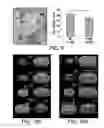 Fig. 10 - THERAPEUTIC TARGETING OF THE MTOR PATHWAY IN NEURODEVELOPMENTAL AND NEUROPSYCHIATRIC DISEASE