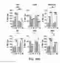 Fig. 24 - THERAPEUTIC TARGETING OF THE MTOR PATHWAY IN NEURODEVELOPMENTAL AND NEUROPSYCHIATRIC DISEASE