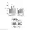 Fig. 34 - THERAPEUTIC TARGETING OF THE MTOR PATHWAY IN NEURODEVELOPMENTAL AND NEUROPSYCHIATRIC DISEASE