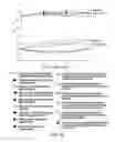 Fig. 16 - Compositions and methods for altering human cutaneous microbiome to increase growth of and reduce proliferation