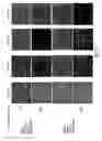 Fig. 18 - Compositions and methods for altering human cutaneous microbiome to increase growth of and reduce proliferation