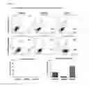 Fig. 29 - CORRELATES OF EFFICACY RELATING TO TUMOR VACCINES