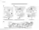 Fig. 38 - CORRELATES OF EFFICACY RELATING TO TUMOR VACCINES