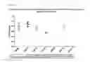 Fig. 43 - CORRELATES OF EFFICACY RELATING TO TUMOR VACCINES