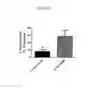 Fig. 06 - Inhibitors of NOX1