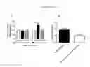 Fig. 07 - Inhibitors of NOX1