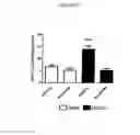 Fig. 10 - Inhibitors of NOX1