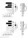 Fig. 11 - Inhibitors of NOX1