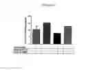 Fig. 12 - Inhibitors of NOX1