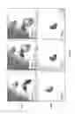Fig. 04 - Treating liver diseases