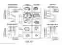 Fig. 18 - Treating liver diseases