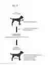Fig. 09 - STEM CELLS FOR TRANSPLANTATION AND MANUFACTURING METHOD THEREFOR