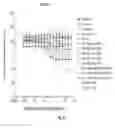 Fig. 11 - PAN-HER ANTIBODY COMPOSITION