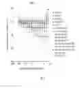 Fig. 13 - PAN-HER ANTIBODY COMPOSITION