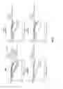 Fig. 23 - PAN-HER ANTIBODY COMPOSITION