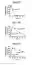 Fig. 17 - DERIVATISATION OF BIOLOGICAL MOLECULES