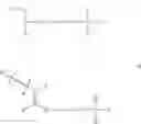 Fig. 22 - DERIVATISATION OF BIOLOGICAL MOLECULES