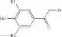 Fig. 38 - POLYMERIC PRODRUG WITH A SELF-IMMOLATIVE LINKER
