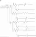 Fig. 59 - POLYMERIC PRODRUG WITH A SELF-IMMOLATIVE LINKER