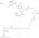 Fig. 77 - POLYMERIC PRODRUG WITH A SELF-IMMOLATIVE LINKER