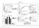 Fig. 04 - Dock-and-lock (DNL) constructs for human immunodeficiency virus (HIV) therapy