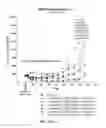 Fig. 15 - Amatoxin-armed therapeutic cell surface binding components designed for tumour therapy