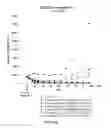 Fig. 16 - Amatoxin-armed therapeutic cell surface binding components designed for tumour therapy