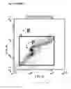 Fig. 05 - METHODS DEVICES AND SYSTEMS OF PREPARING TARGETED MICROBUBBLE SHELLS