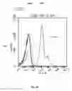 Fig. 11 - METHODS DEVICES AND SYSTEMS OF PREPARING TARGETED MICROBUBBLE SHELLS