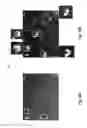 Fig. 32 - METHODS DEVICES AND SYSTEMS OF PREPARING TARGETED MICROBUBBLE SHELLS